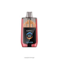 8J2L814 Vape Juice - vannmelon is LAVIE CAMEO 30 000 drag