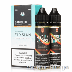 Vape Uten Nikotin The Dbcl - Gambler - Elysian Labs - 120ml 3mg