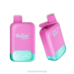 Vapsolo TWINS engangs vape jordbær bringebær kirsebæris og drueis 8Z8D145 Vape Pen